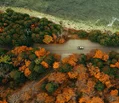 An aerial view of a car driving on a highway in a lush forest