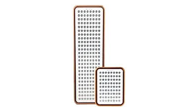 RLPs_Both_Front.webp