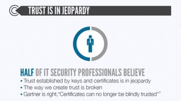 Half of IT security professionals believe online trust is in jeopardy.