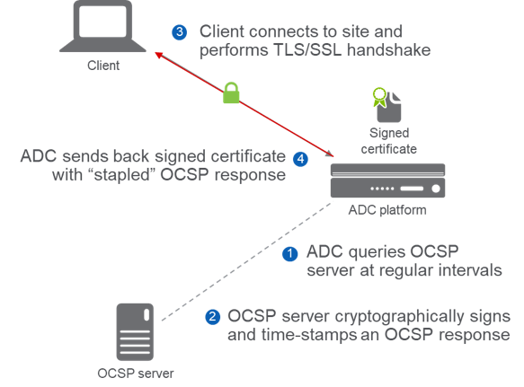 OCSP Stapling 1.png