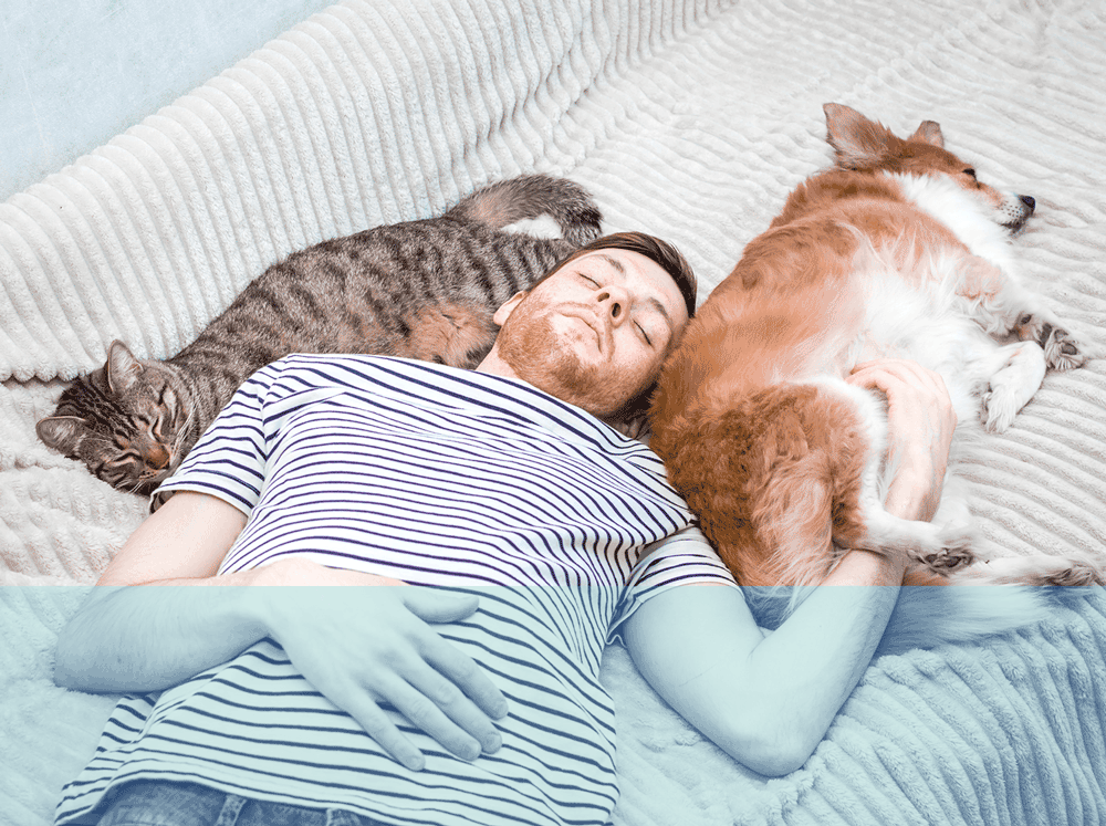 Man sleeping on a bed next to a cat and dog