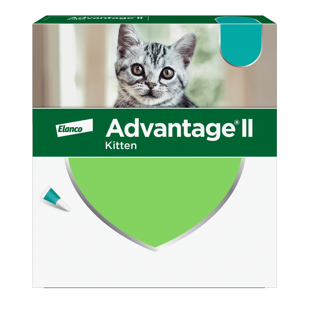 Advantage II for Cats Pack Shot