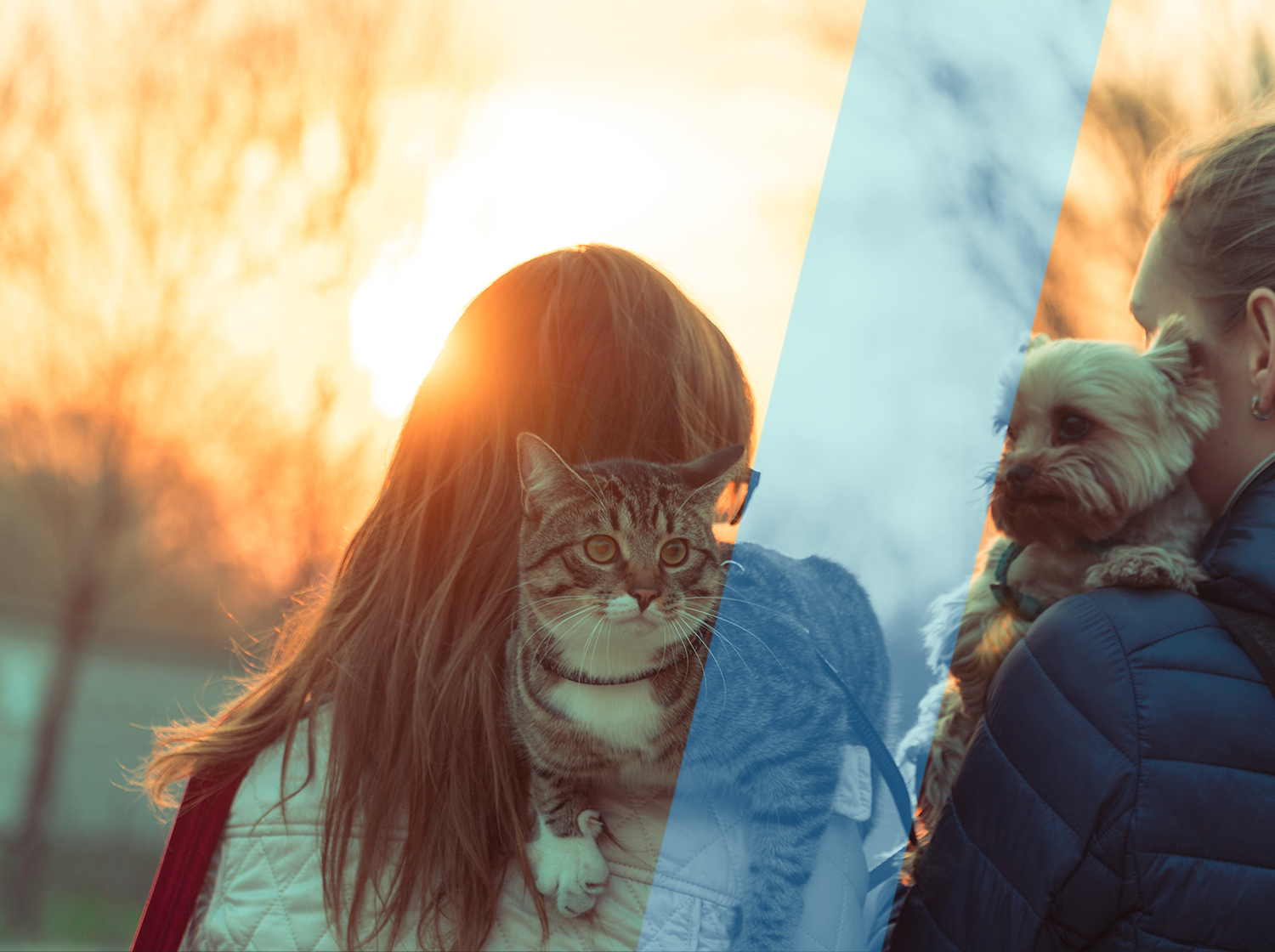 2 people standing watching the sunset, left hand person is holding a cat and right hand person is holding a dog