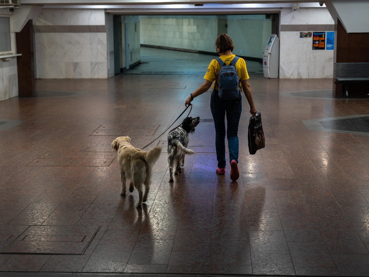 A woman wearing a yellow t-shirt and blue backpack walks two dogs on leads in an underground metro station. 