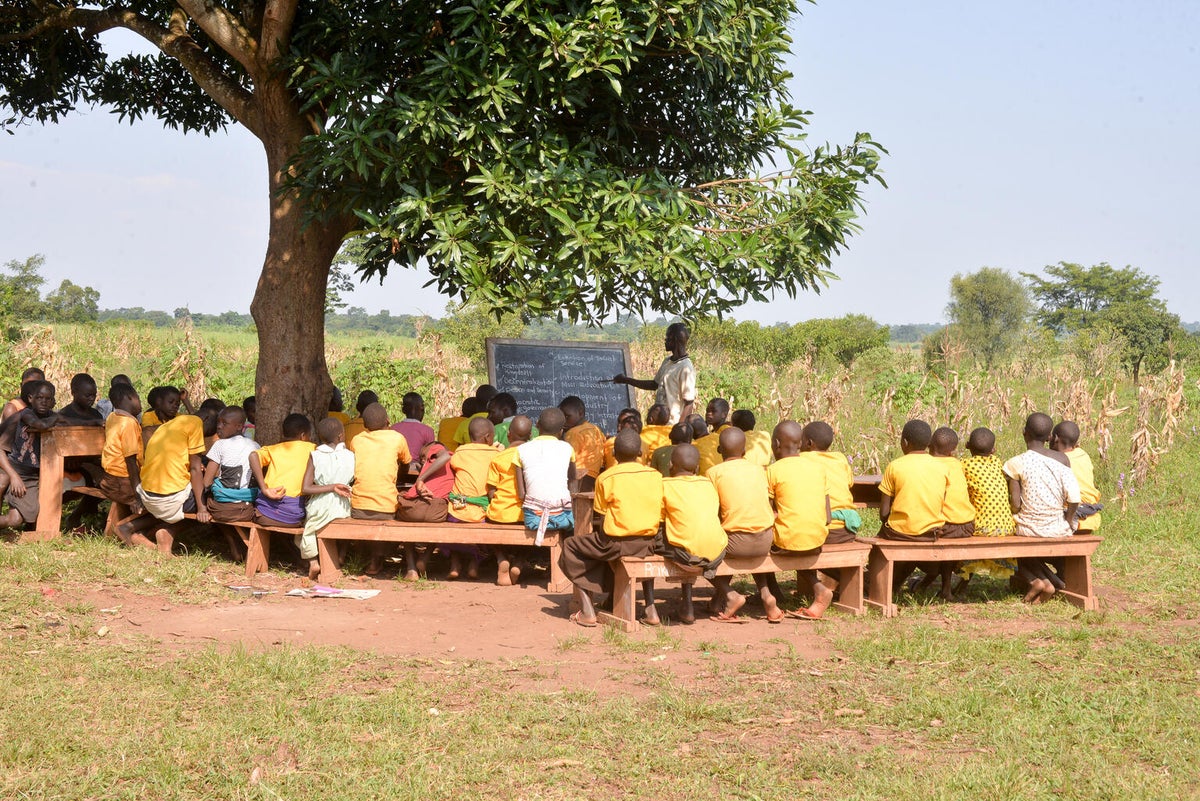 A group of school students in Uganda have their class beneath a mango tree