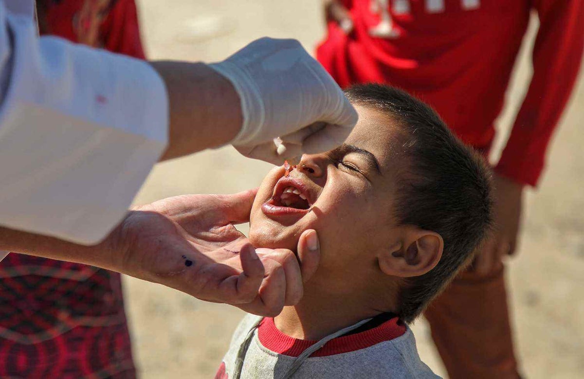 A boy receives a dose of oral polio vaccine from a health worker in Baghdad's Al-Takya Al-Kasnazaniya Camp for displaced Iraqi families in March 2016. 
