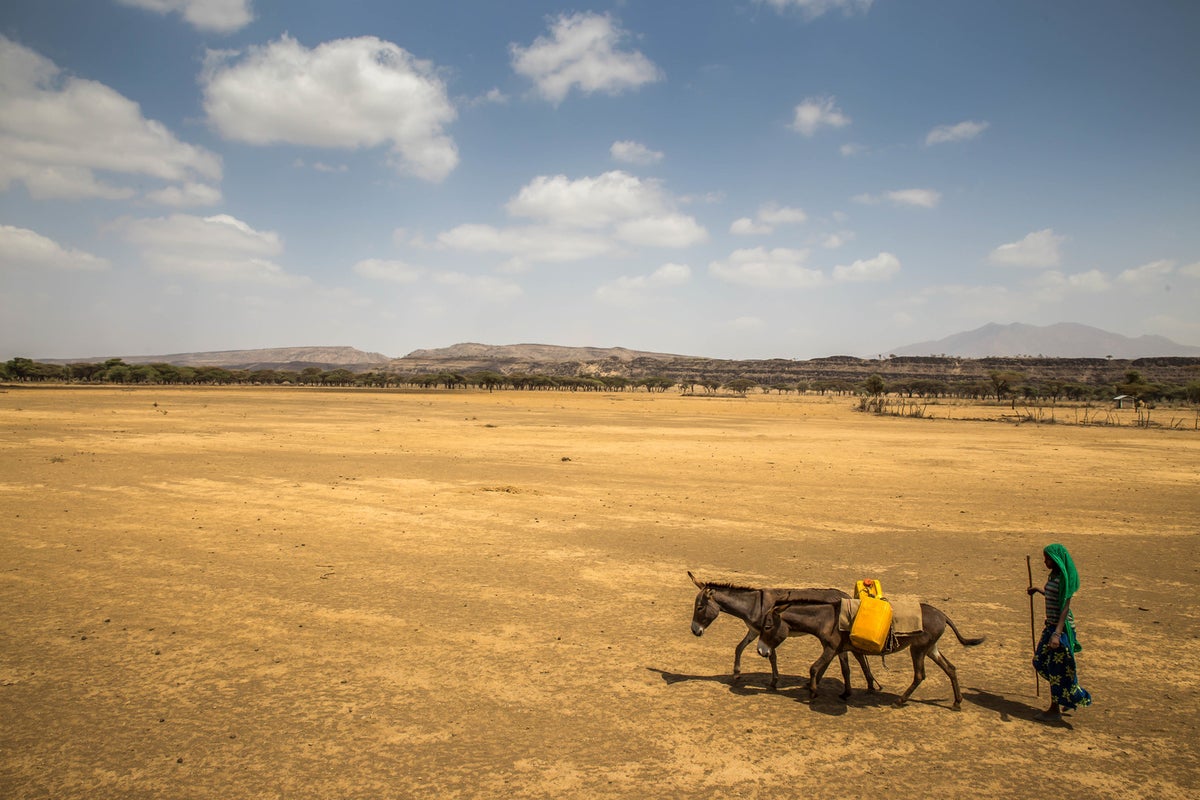 A very dry landscape and there a woman guiding two donkeys with jerrycans on their backs.