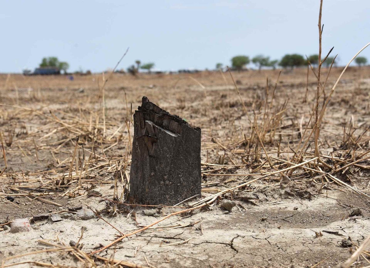 Woden pole stumps are all that is left of Ogweni Primary School