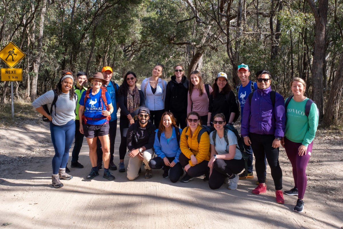 A team of work colleagues hiking the Blue Mountains