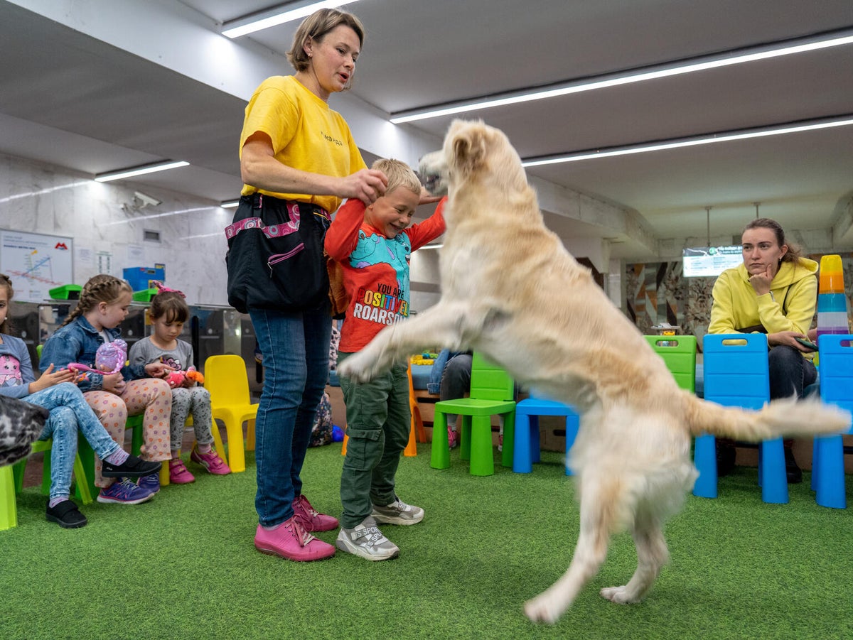 Trainer and volunteer Natalia and her dog Julie play with a boy during the canine-assisted therapy classes at the UNICEF Spilno Child Spot in Kharkiv, Ukraine.