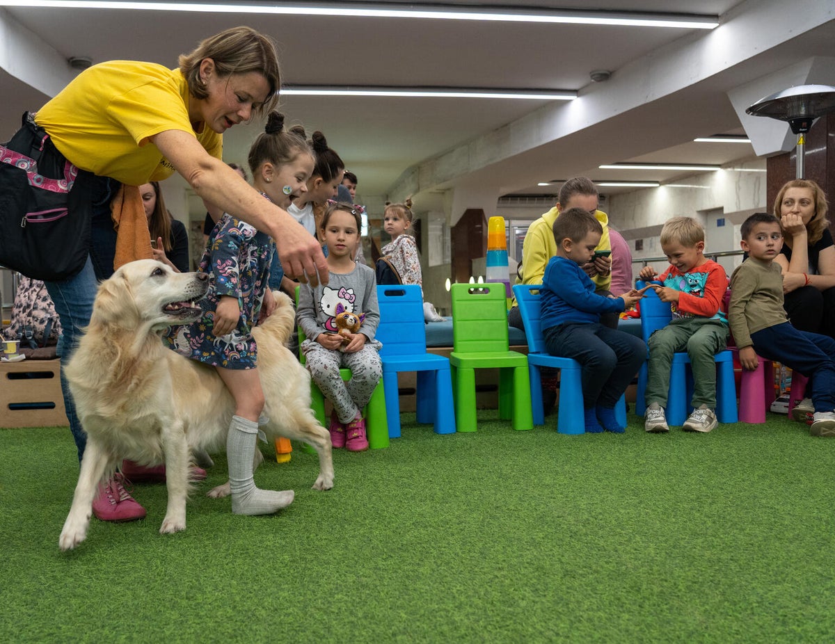 A group of children sit on chairs as they watch a young woman in a yellow shirt and a girl play with Julie the golden retriever in an underground metro station in Ukraine. 