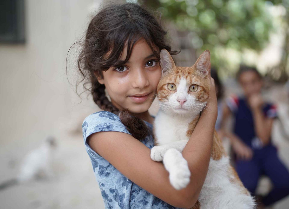 Fatme, 8, holds a cat in Beirut, Lebanon. She is one of the many children who have been impacted by the explosion. 