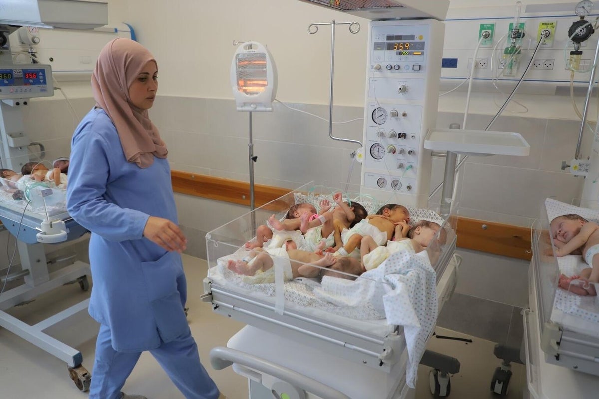 On 19 November 2023, premature babies were relocated from Al-Shifa hospital in northern Gaza to the Al-Helal Al-Emarati Hospital in the south.