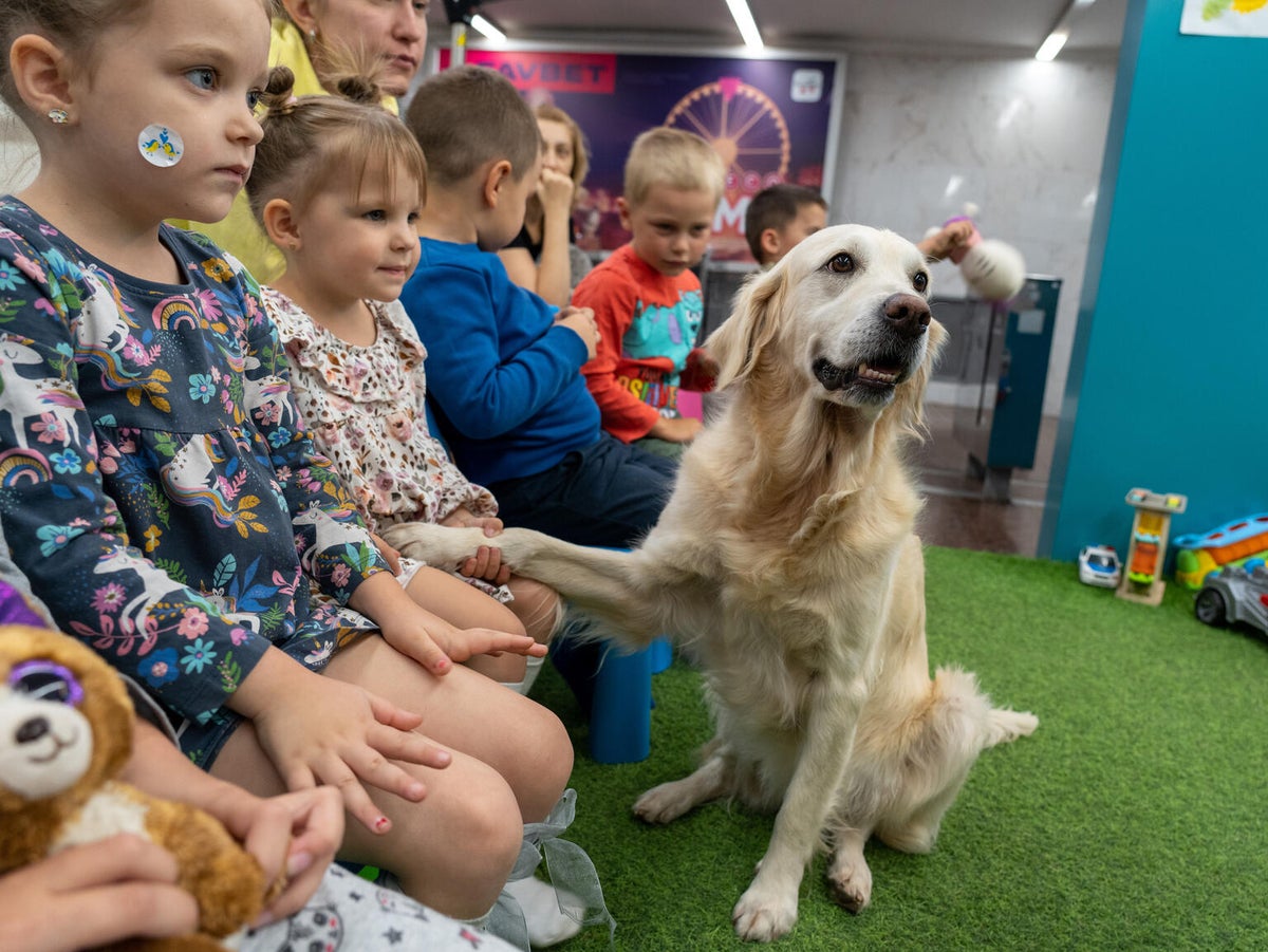 Julie the golden retriever puts its paw on a little girl who is sitting next to other children in an underground metro station. 