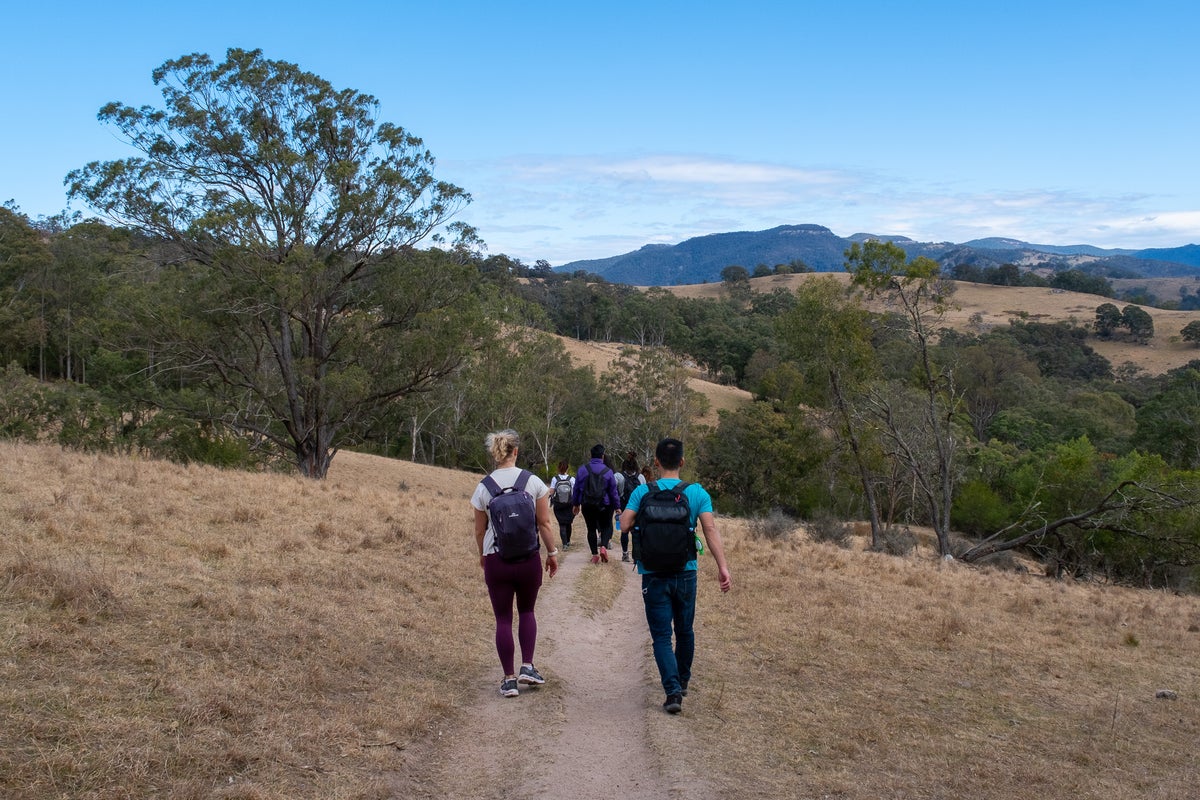A group of people hiking across hilltops in the Blue Mountains.