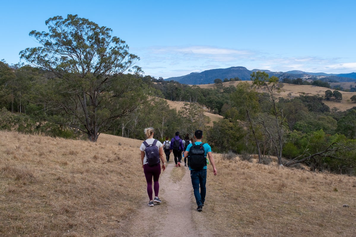 A group of people hiking across hilltops in the Blue Mountains. 