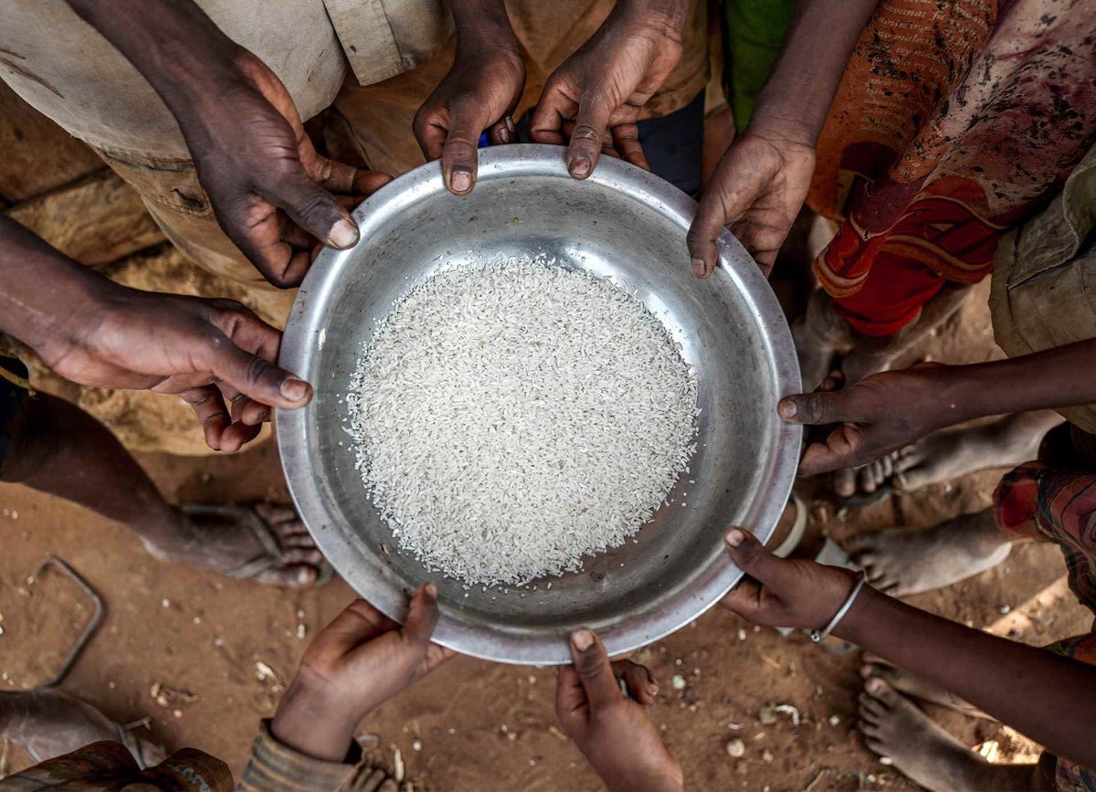 In the drought-stricken south of Madagascar, only rice will be on the menu today. 500g of rice and a lot of water will be shared with 12 members of the family.