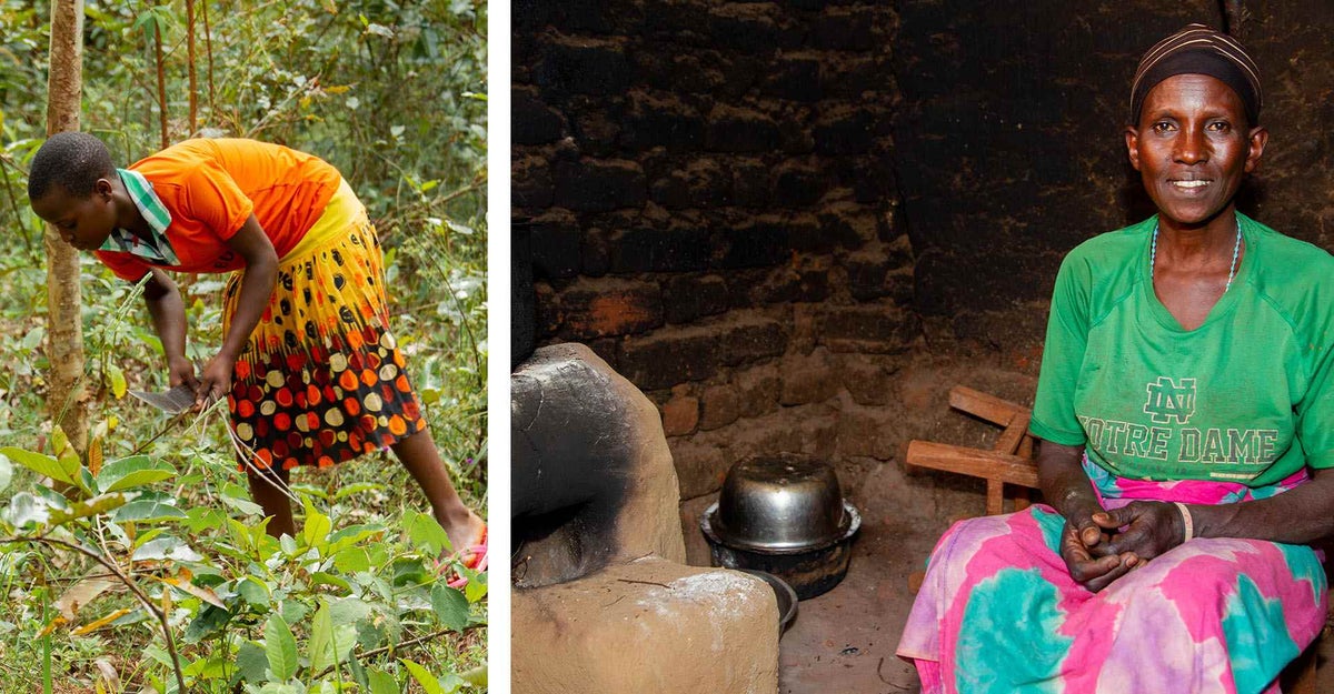 Gislaine collects firewood from a field five kilometres from her home, and right, Seraphine, Jean Baptiste’s mother says the stove has helped her to save money on wood.