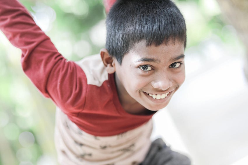 Boy playing in a tree