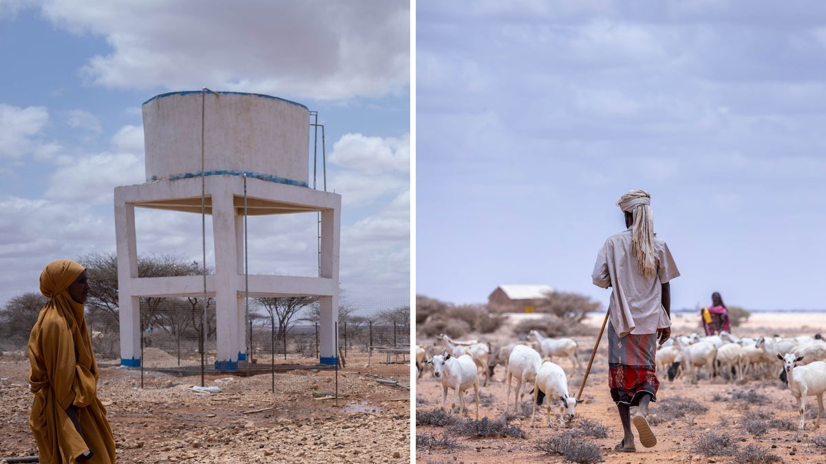 A sustainable borehole and a man with sheep in Somalia