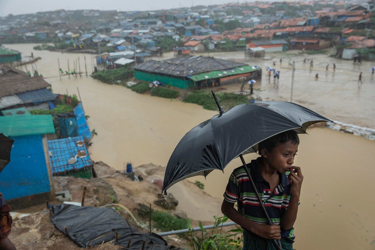 A boy hold an umbrella. In the background, a flooded landscape.