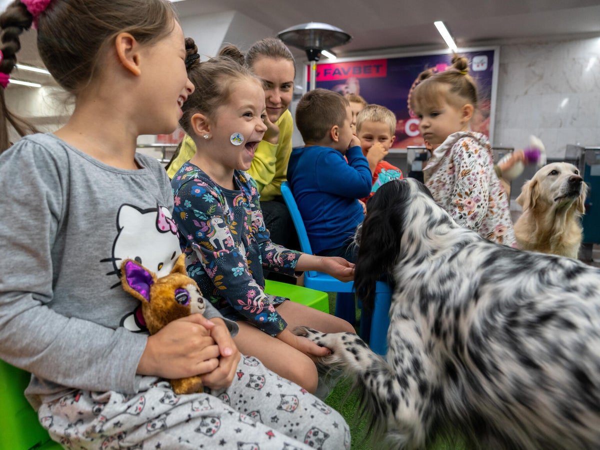 A young girl exclaims in delight as Petra the English setter puts its paw in her hand as other children and a woman watch on.