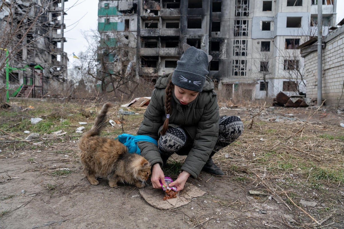 A young girl feeds a cat outside her destroyed apartment building in Kyiv