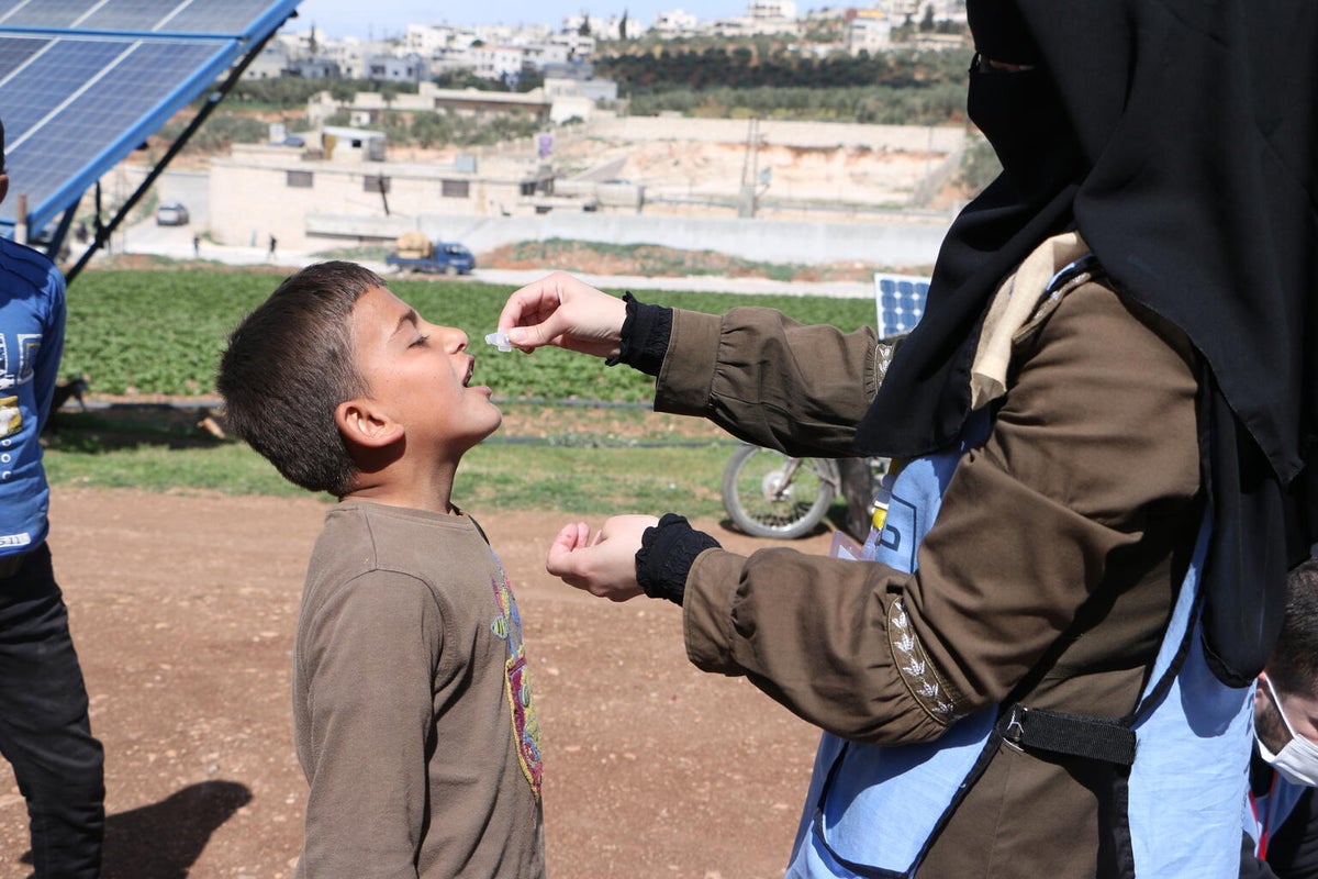 A child receives a dose of an oral vaccine in northwest Syria. 