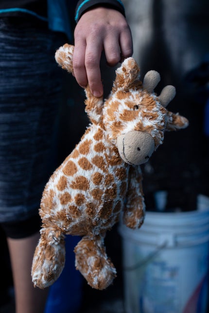 Giraffe toy