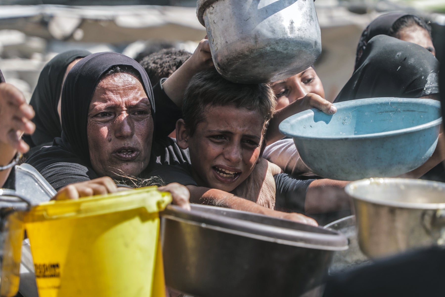  A young child at a food distribution site in Gaza.