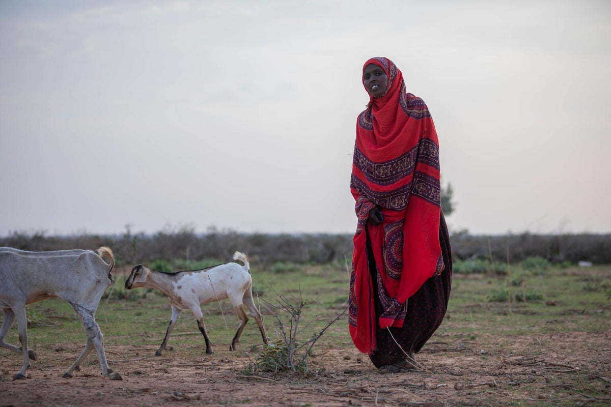 A woman is in an open field with scarce grass and there's two goats with her.