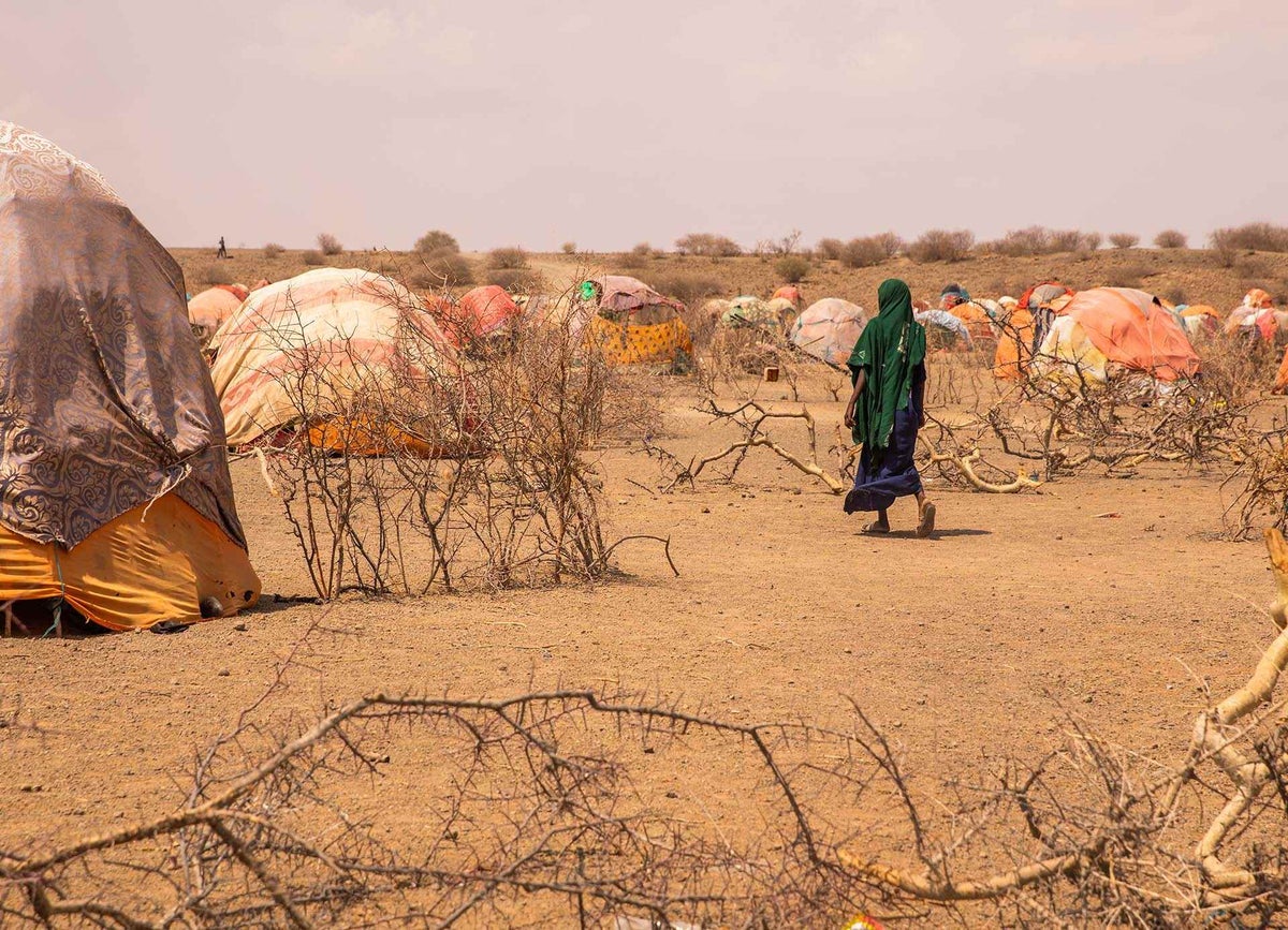 A woman walks past shelters at a camp for internally displaced people in Ethiopia, which hosts thousands of people from drought-affected communities.