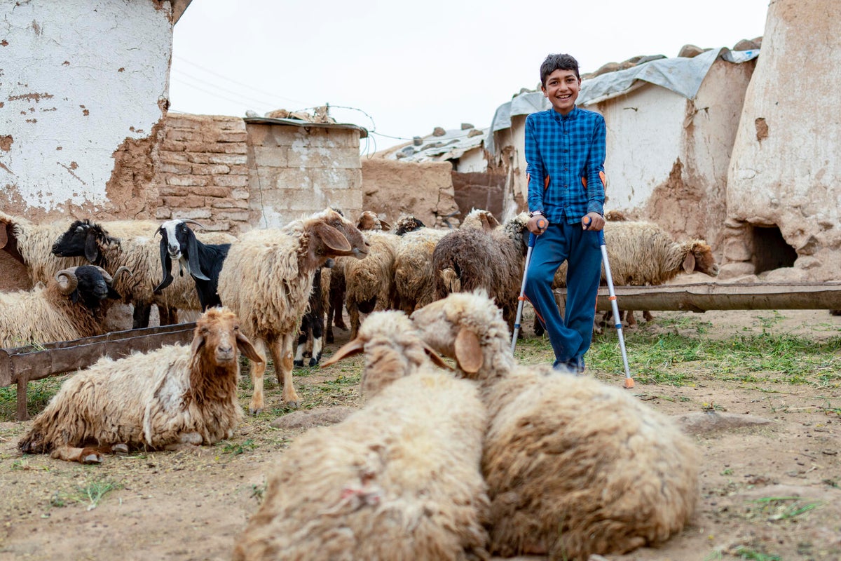 A young Syrian boy on crutches stands amongst a herd of sheep out the front of his home.