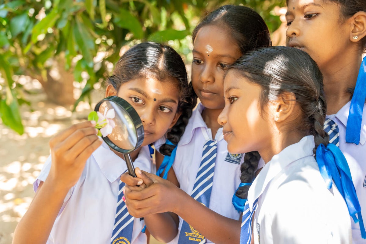 A group of schoolgirls looking at a plant through a lens.