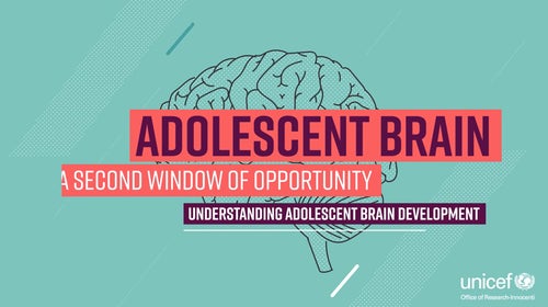 Infographic of adolescent brain