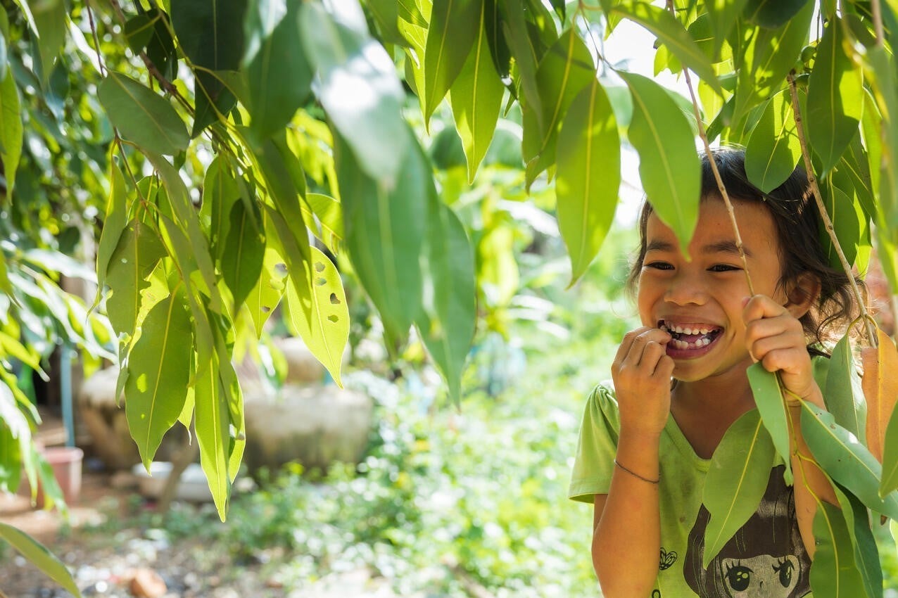 A young Cambodian girl picks local fruits around her house for a snack during a UNICEF visit for an IEC materials testing session.