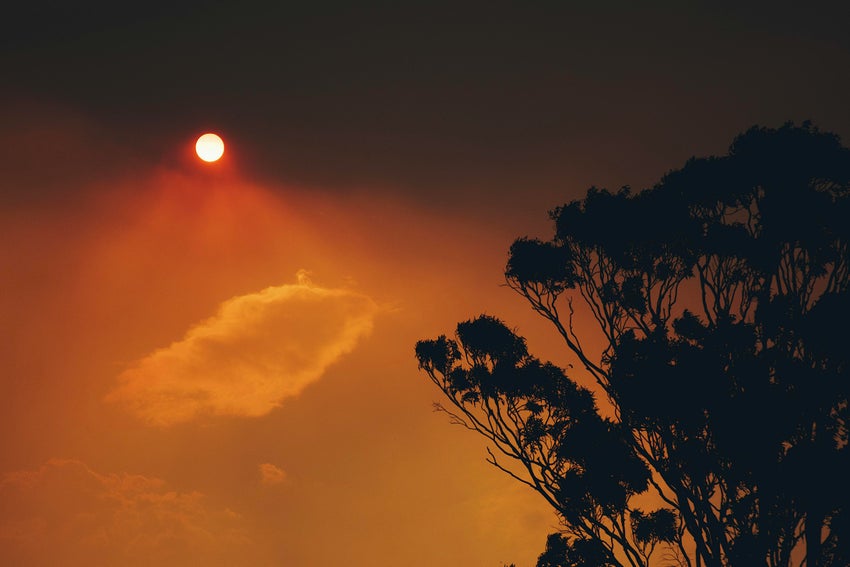 Bushfire smoke turns the sky and sun red in the Australian bush