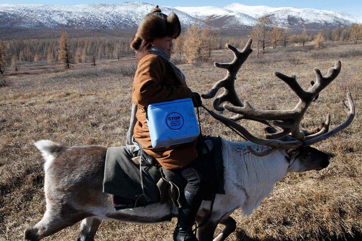 Peta travels by reindeer to vaccinate children from nomadic herder communities who live in the area.
