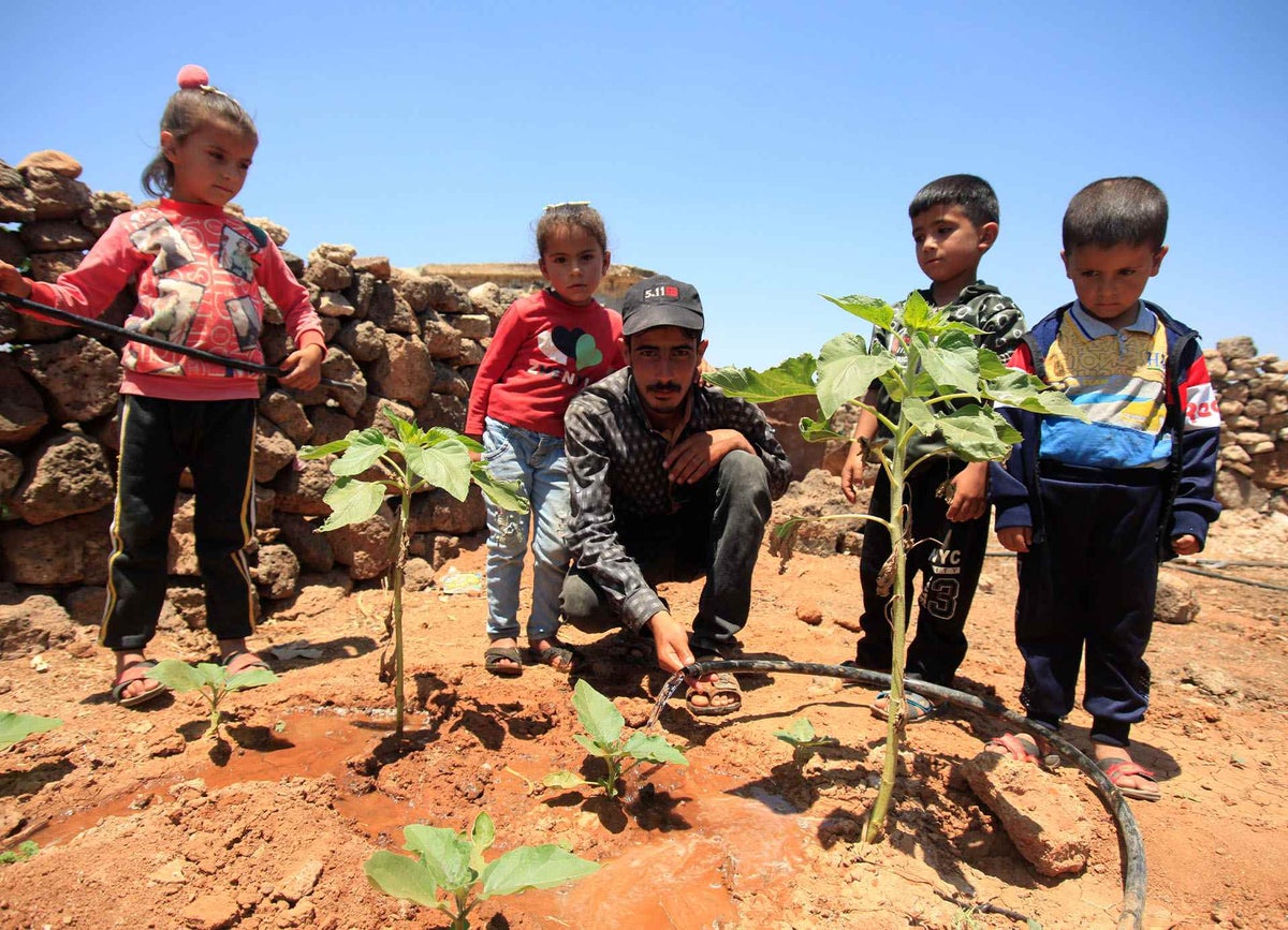 Ibrahim, 20, waters plants with his nephews and nieces. 