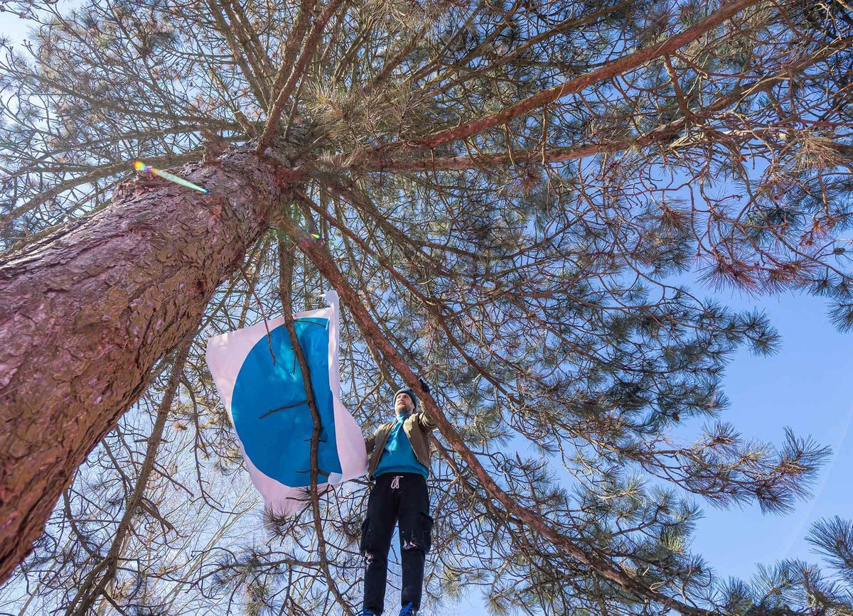 Man in tree to tie blue dot flag 