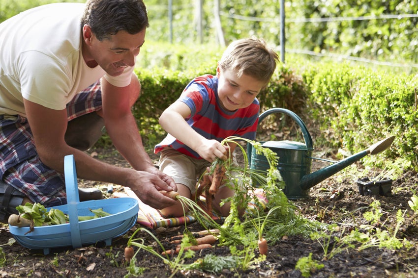 A father and son gardening 