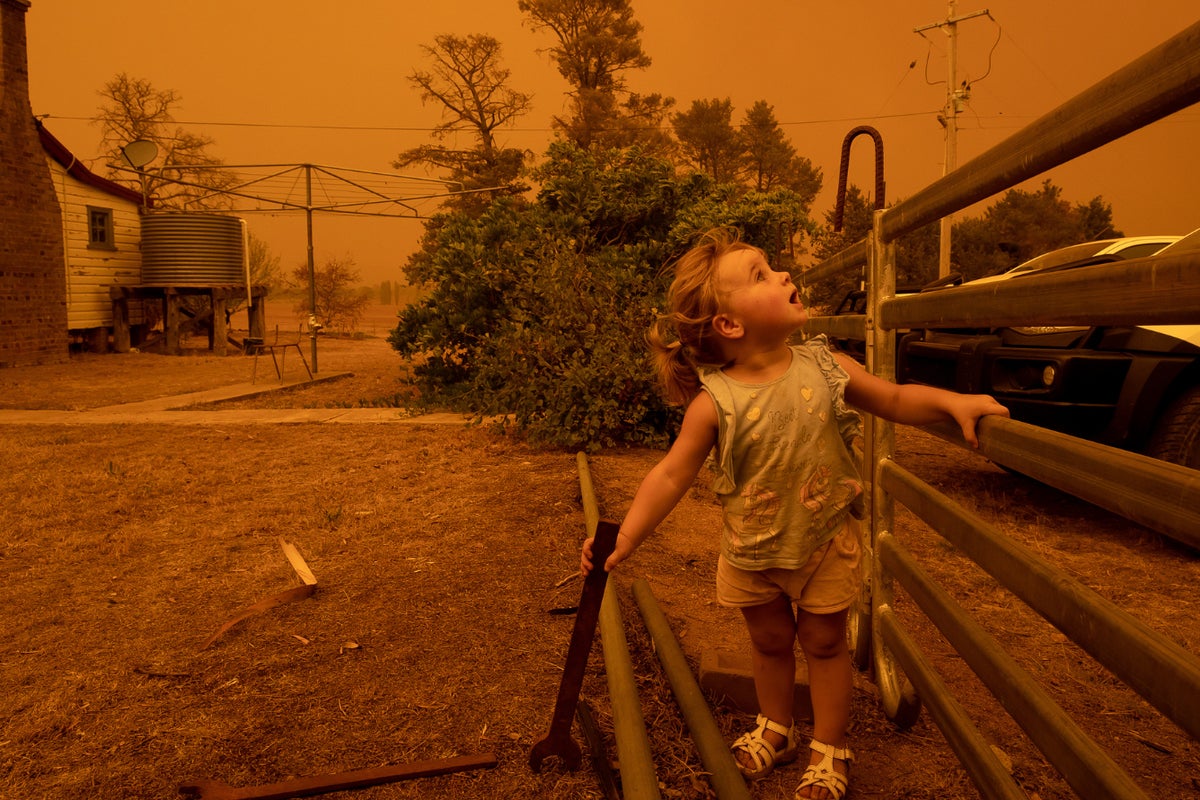 A little girl standing in a backyard looks up in the sky as bushfire smoke turns the sky orange and hazy