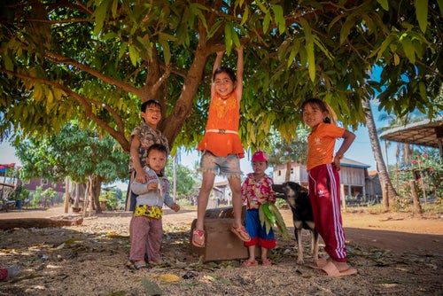 Kids playing in a tree