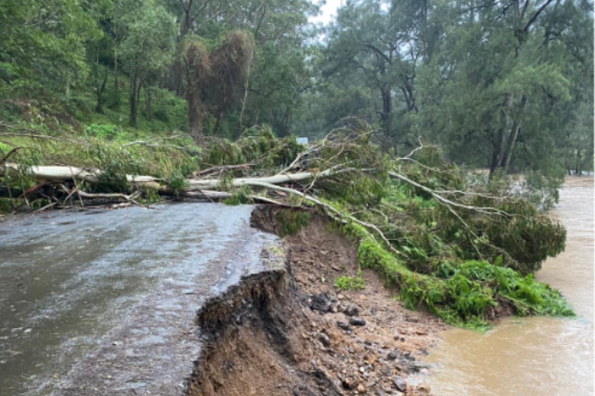 A road partially damaged by floodwaters and a fallen tree lying across it.