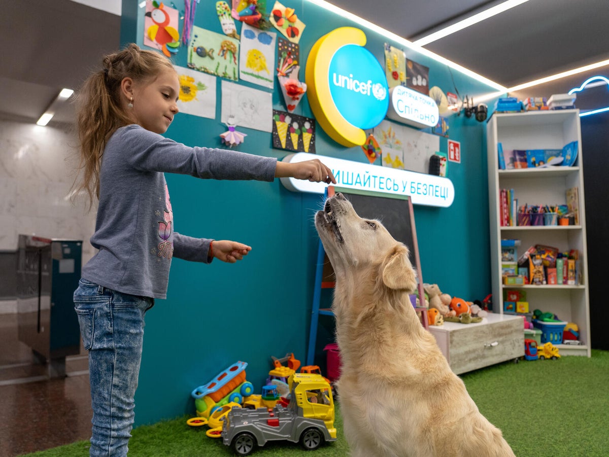 A smiling young girl wearing a blue top and jeans feeds a dog treat to Julie the golden retriever.