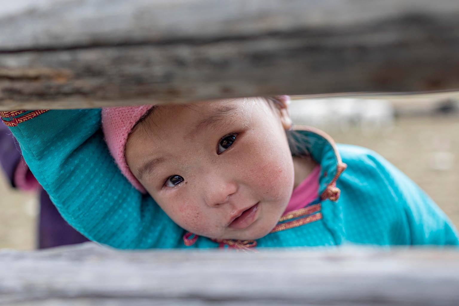 Sugarmaa Batjargal, 1, looks out from her family's pen for sheep and goats, in Alag-Erdene district, Khövsgöl province, Mongolia.