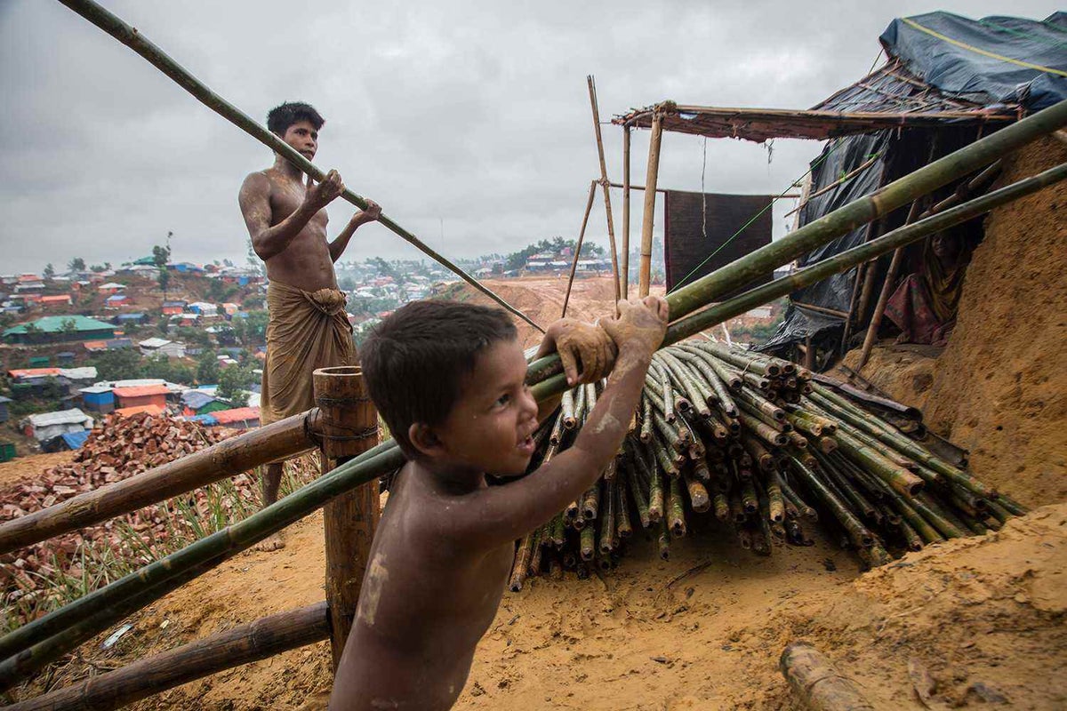 A Rohingya boy helps his father carry bamboo to reinforce the family’s shelter. 