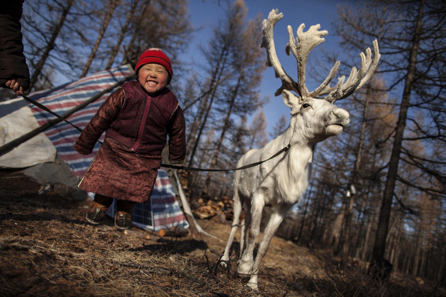 P. Otgonjargal, 4, smiles while jumping excitedly next to one of her family’s reindeer in a remote area of the ‘soum’ (district) of Tsagaannur