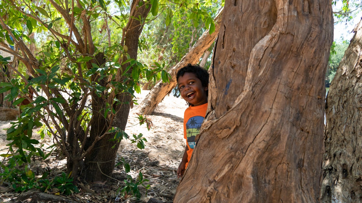 A smiling child peeks from behind a tree.