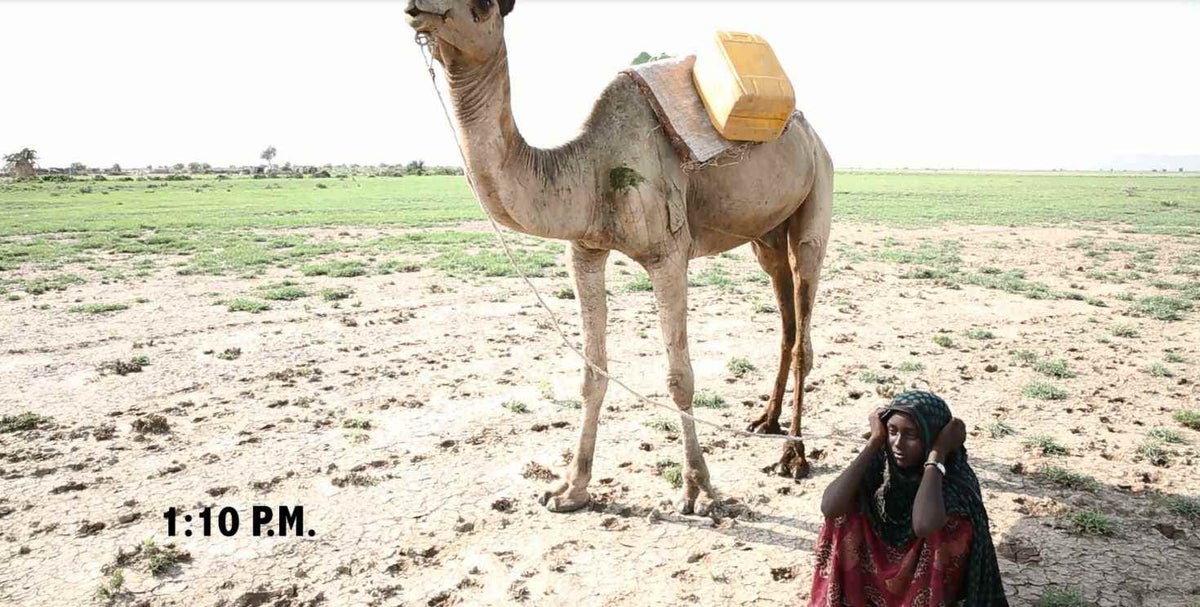 Girls rests on ground next to camel